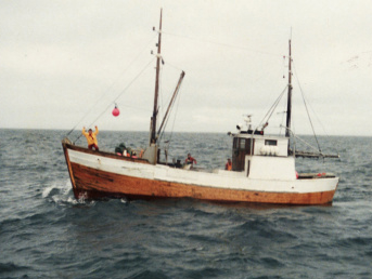 Havblikk på blåkveite fiske.